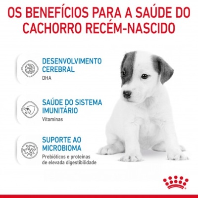 Royal Canin Babydog Milk - Leite para cachorro