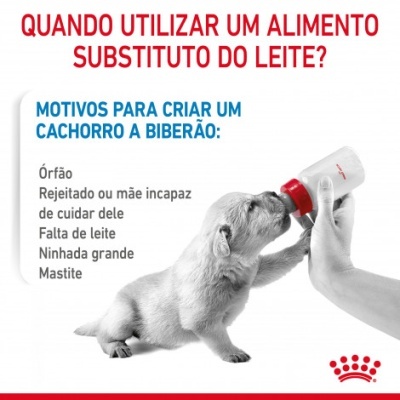 Royal Canin Babydog Milk - Leite para cachorro