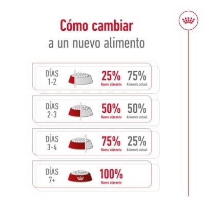 Royal Canin Giant Adult para Cães Adultos de Raça Gigante