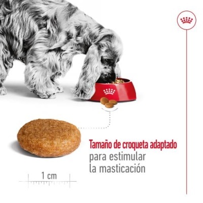 Royal Canin Medium Adult - Ração seca para cão de porte médio