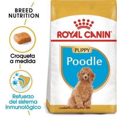 Royal Canin Poodle Puppy Ração para Cachorros da Raça