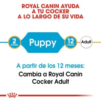 Royal Canin Cocker Puppy Ração Seca para Cachorros da Raça
