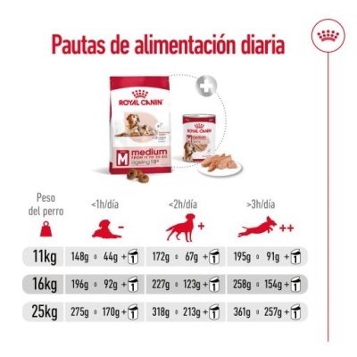 Royal Canin Medium Ageing 10+ Ração Seca Cão Idade Avançada Raças Tamanho Médio
