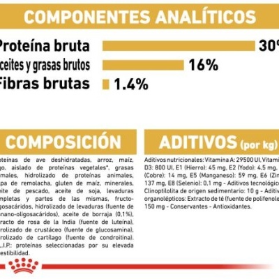 Royal Canin Jack Russell Terrier Adult para Cães Adultos da Raça Jack Russell