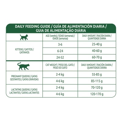 Libra Cat Kitten Chicken & Rice