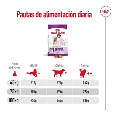 Royal Canin Giant Adult para Cães Adultos de Raça Gigante