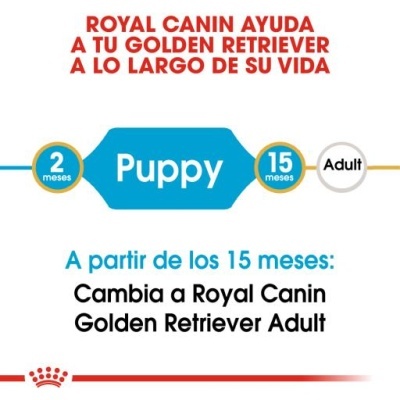 Royal Canin Golden Retriever Puppy Ração Seca para Cachorros da Raça