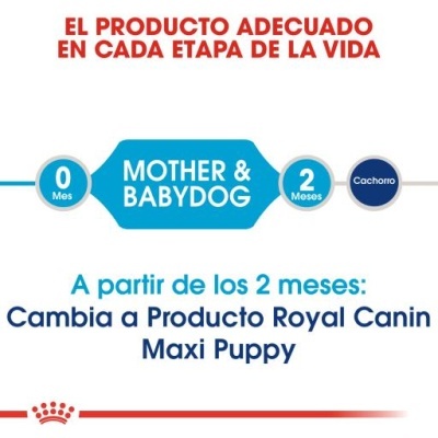 Royal Canin Starter Mother & Babydog Maxi - Ração seca para cachorro recém-nascido e cadela gestante/lactante de porte grande