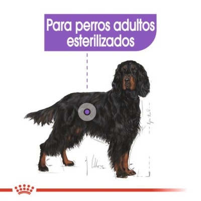 Royal Canin Sterilised Maxi Adult - Ração seca para cão esterilizado de porte grande