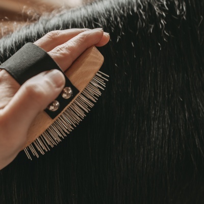 ESCOVA DE PELO COMPRIDO