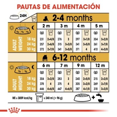 Royal Canin Bulldog Puppy para Cachorros Bulldog Inglês