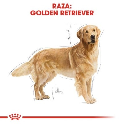Royal Canin Golden Retriever Adult