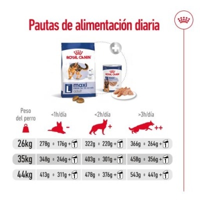 Royal Canin Maxi Adult Cães Adultos de Raça Grande