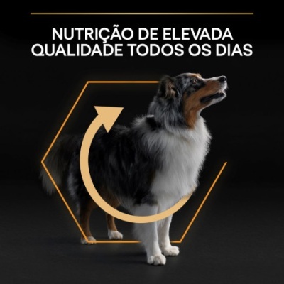 Purina Pro Plan Medium Adult Everyday Nutrition - Frango