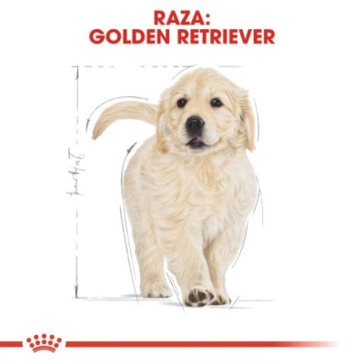 Royal Canin Golden Retriever Puppy Ração Seca para Cachorros da Raça