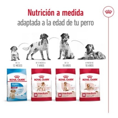 Royal Canin Medium Adult 7+ Ração Seca Cão Senior Raças de Tamanho Médio