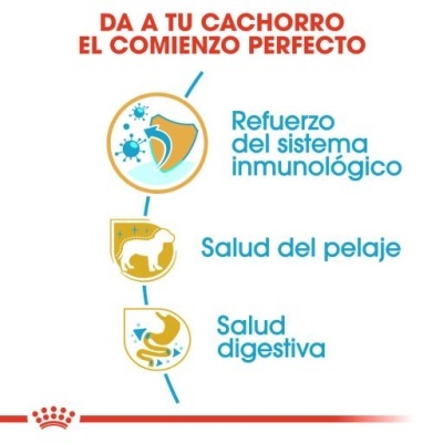 Royal Canin Poodle Puppy Ração para Cachorros da Raça