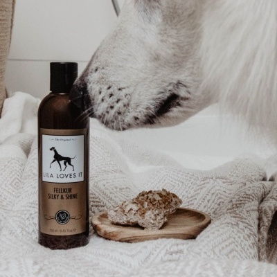 CONDICIONADOR BRILHO SEDOSO INTENSO 250 ml