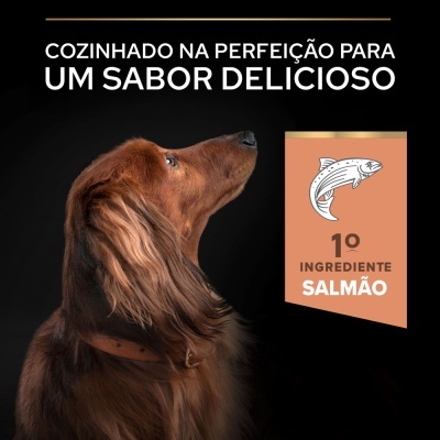Pro Plan Sensitive Skin Small & Mini - Salmão