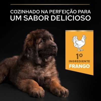 Purina Pro Plan Healthy Start Large Robust Puppy - Frango