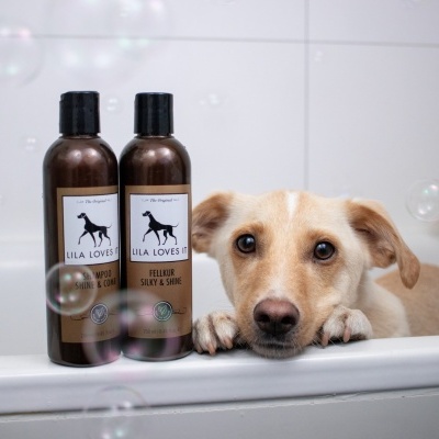 CONDICIONADOR BRILHO SEDOSO INTENSO 250 ml