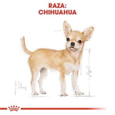Royal Canin Chihuahua Adult para Cães Adultos da Raça Chihuahua