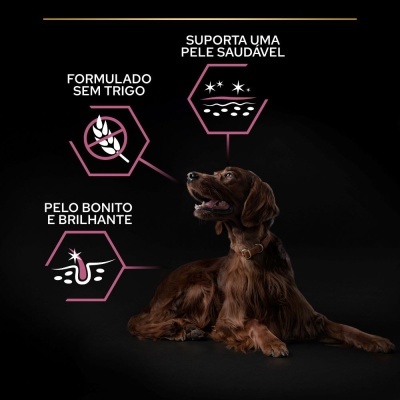 Purina Pro Plan Large Athletic Adult Sensitive Skin com Salmão