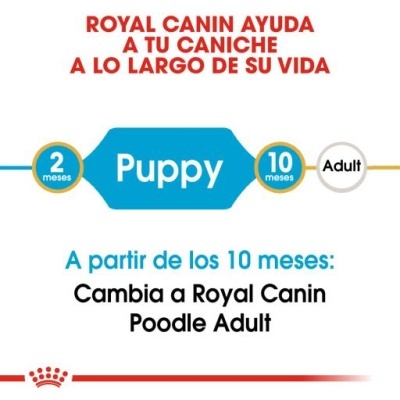 Royal Canin Poodle Puppy Ração para Cachorros da Raça