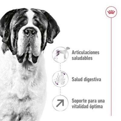 Royal Canin Giant Adult para Cães Adultos de Raça Gigante