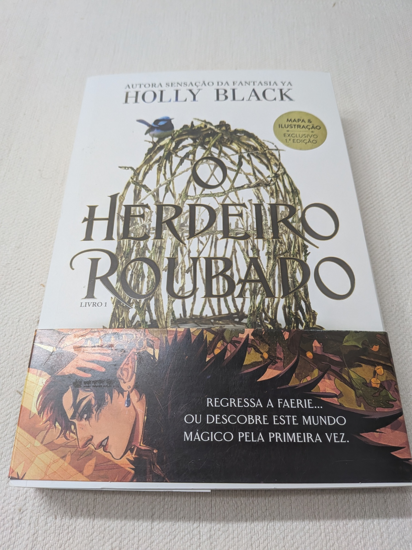 Holly Black - O Herdeiro Roubado Livro 1 Livro O Herdeiro Roubado de Holly Black com capa branca e ilustração de gaiola e pássaro