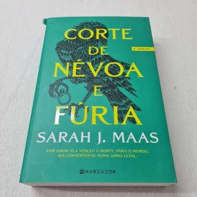 Sarah J. Maas - Corte de Névoa e Fúria - Corte de Espinhos - Livro 2 (defeito na capa)
