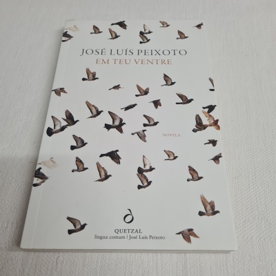 capa de livro 'Em Teu Ventre' com ilustração de pássaros em voo