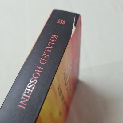 Khaled Hosseini - E as Montanhas Ecoaram