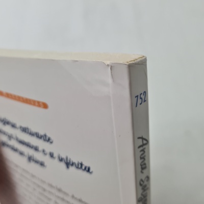 Anna Sólyom - O Café dos Gatos