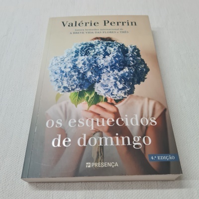 Valérie Perrin - Os Esquecidos de Domingo