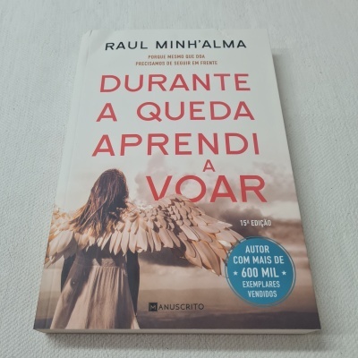 Raul Minh'alma - Durante a Queda Aprendi a Voar