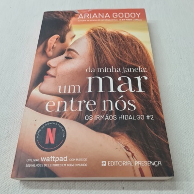 Ariana Godoy - Da Minha Janela: Um Mar Entre Nós - Os Irmãos Hidalgo #2