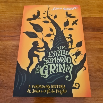 Adam Gidwitz - Um Espelho Sombrio dos Grimm