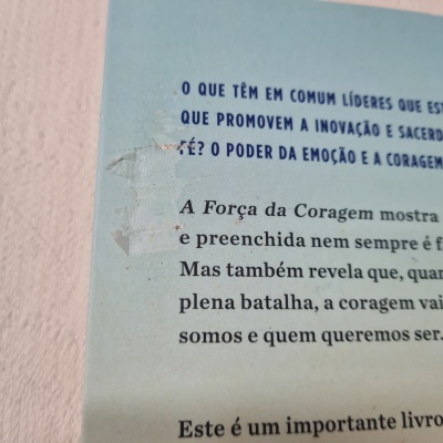 Brené Brown - A Força da Coragem