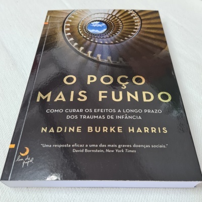 Nadine Burke Harris - O Poço Mais Fundo