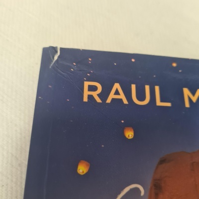 Raul Minh'alma - Como Se Fosse a Primeira Vez