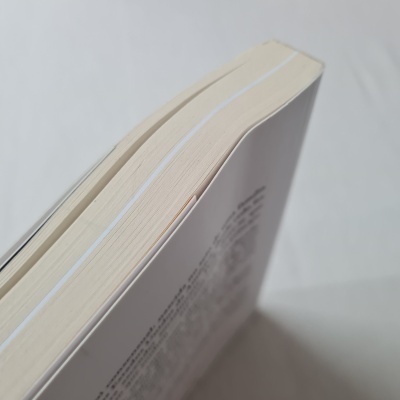 Ana Anjos Mântua - A Americana que Queria Ser Rainha de Portugal