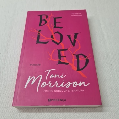 Toni Morrison - Beloved