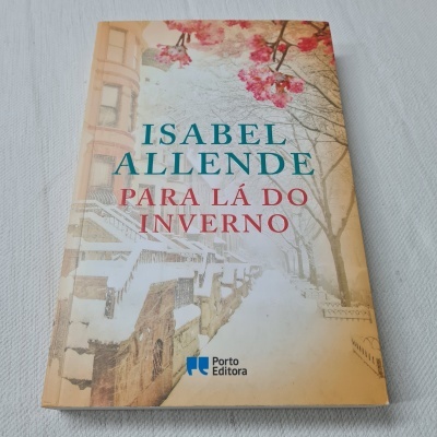 Capa do livro 'ISABEL ALLENDE PARA LÁ DO INVERNO' com ilustração de rua gelada e flores cor-de-rosa.