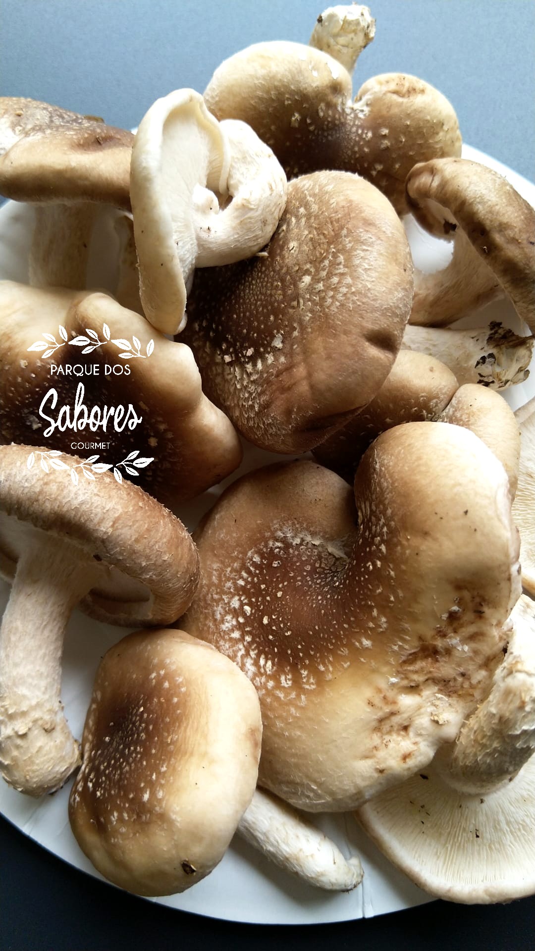 Cogumelos Frescos Torres Novas - 300gr (aprox.)
