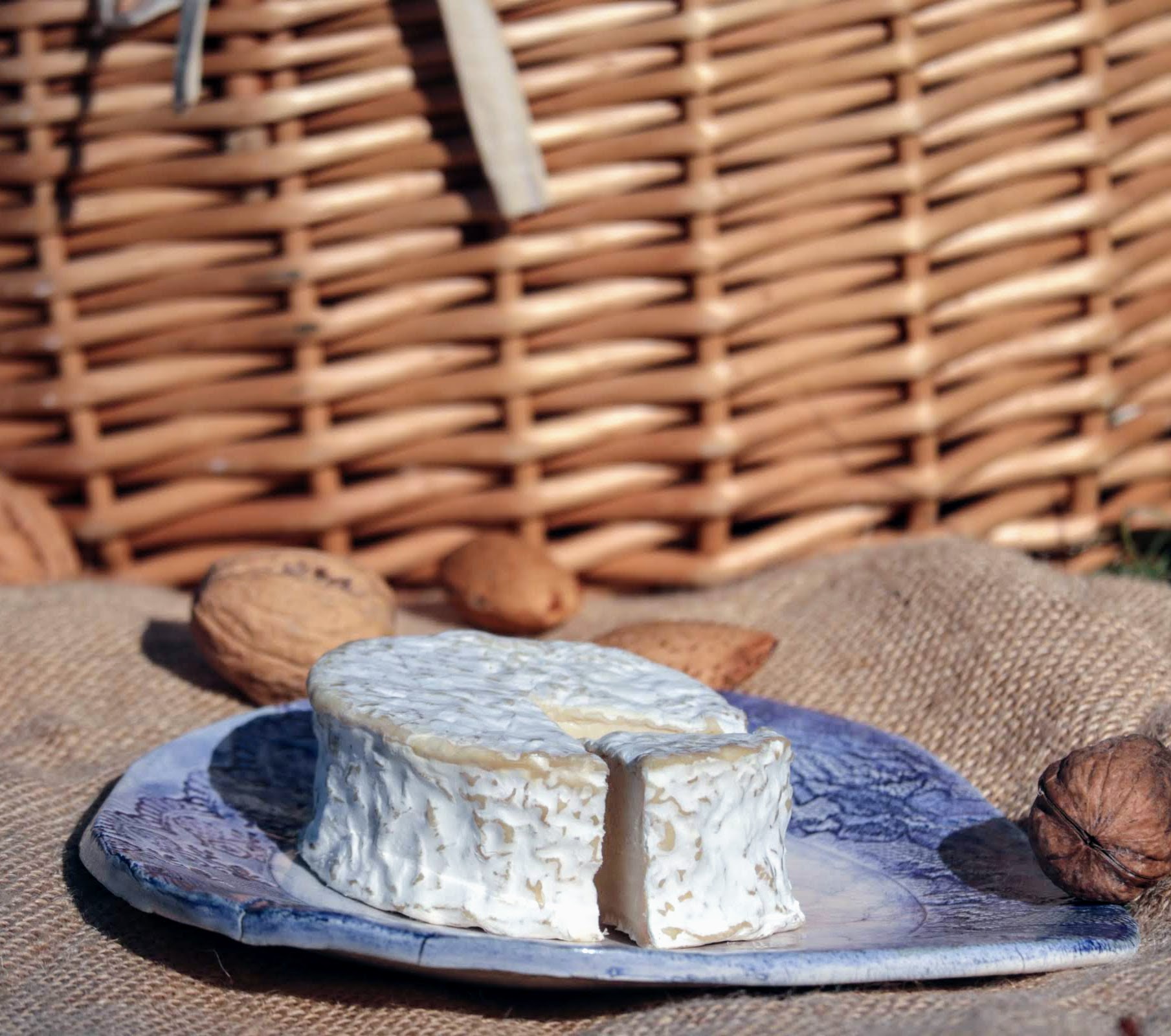 Queijo branco redondo numa tábua azul com nozes e cesta de verga ao fundo