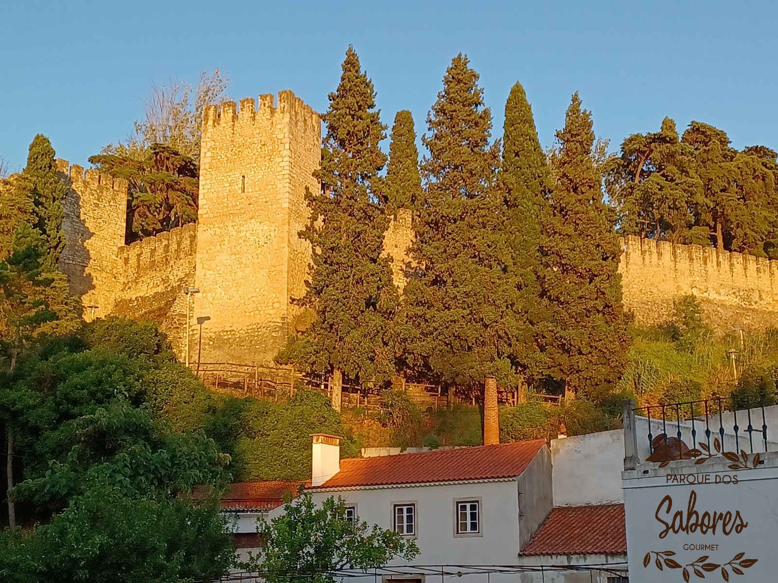 Castelo de Torres Novas