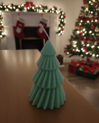 Pinheiro Verde Pequeno