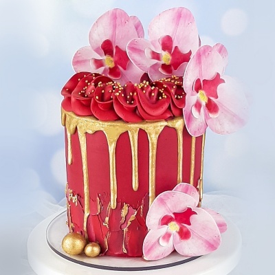 10 ORQUÍDEAS De Obreia ROSA  - cx