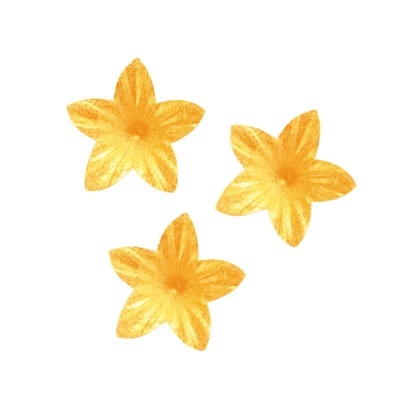 LILAS DE Obreia Ouro Perlado 2 CM ( 100 und.)